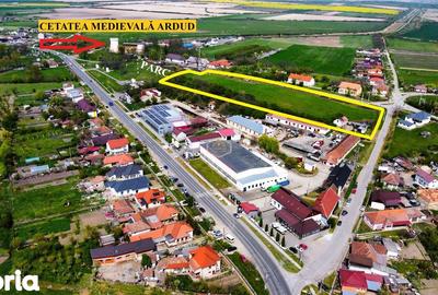 Teren de 12180 mp, în Burdea - 6