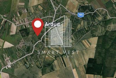 Spațiu comercial, în Ardud - 1