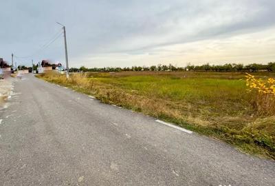 Teren în Albota - 1