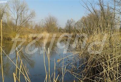 Spațiu comercial, în Snagov - 4