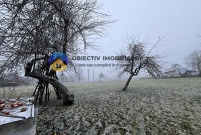 Casa si teren- Negresti - 1