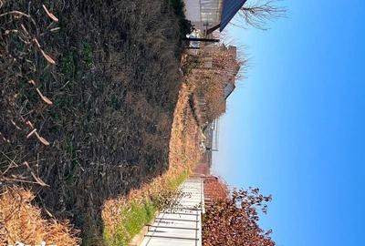 Teren de 1100 mp, în Pătrăuți - 2