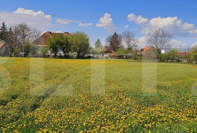 Teren intravilan de vanzare - 2755 mp, in centrul localitatii Ozun