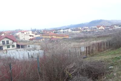 2 parcele de teren in Zavoi, str. Brandusei, 1440 mp, asfalt - 2