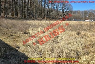 Teren de 847 mp, în Central - 3