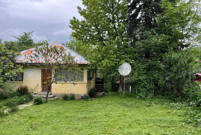 Casă cu 3 camere în Poiana - 6