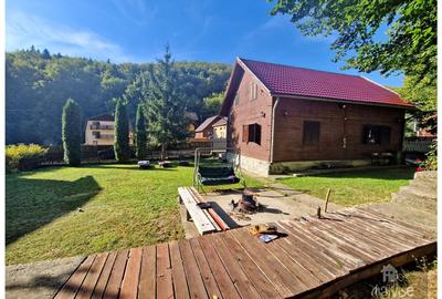 Casa de vacanta!!! Valea Bozom- Apata - 25