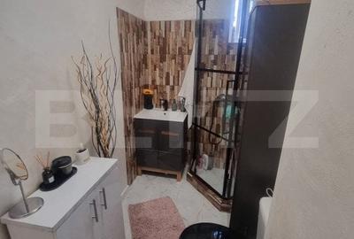 Apartament 2 camere, decomandat, aer conditionat, Calea Bucuresti - 10