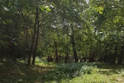 Spațiu comercial, în Podul Lung - 8