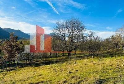 Teren Bran / Predelut cu priveliste 1840mp - 19