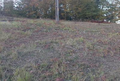 Spațiu comercial, în Ineu - 3