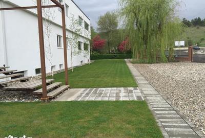 Casă cu 4 camere cu Teren 1100 Mp în Feleacu - 3