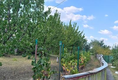 Casă individuală cu 4 camere cu Canalizare în Munteni-Buzău - 8