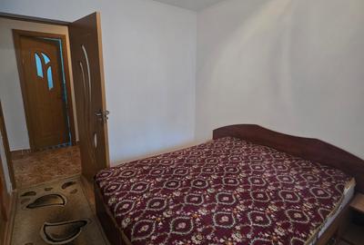 Apartament cu 2 camere decomandat, mobilat în Gorjului - 12