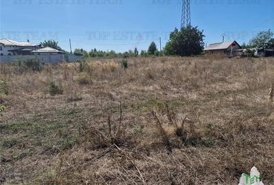 Teren 1491 mp in zona rezidentiala din Ciorogarla Teren 1491 mp in zona rezidentiala din Ciorogarla - 7