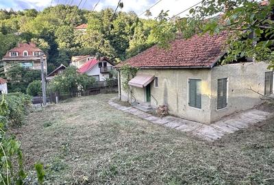 CASA CU 1000 MP  TEREN in Schei - 1