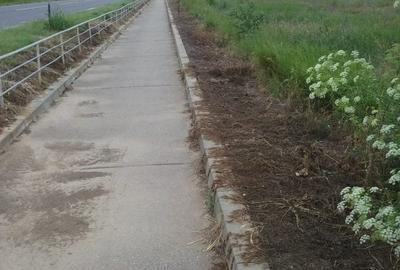 EXCLUSIV! Teren intravilan 2500 mp-2 Mai (Mangalia, Vama Veche)-55 euro/mp(E3) - 4