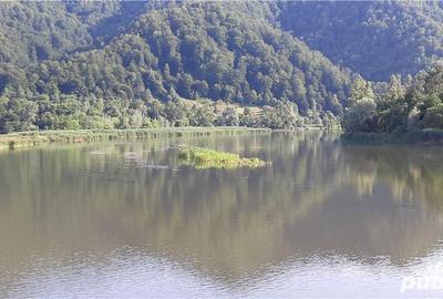 Teren de 4150 mp, în Drăgănești (Brezoi) - 3