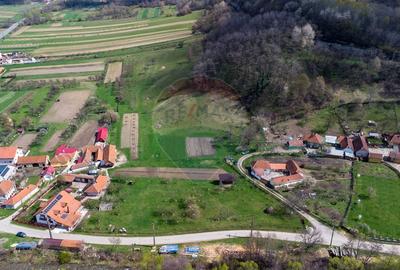 Teren partial intravilan 2,984mp Baru ,jud.Hunedoara - 6