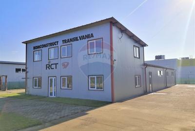 Hala Industriala, Parcul Industrial Bors 2, De Vanzare - 4