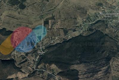 Teren intravilan de 5800 mp, in loc Padureni - 1