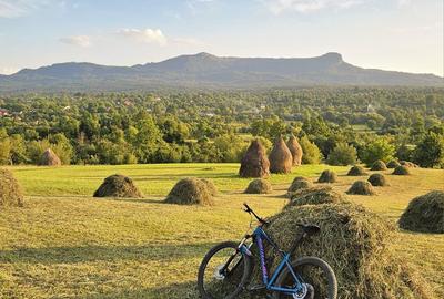 Spațiu comercial, în Breb - 5