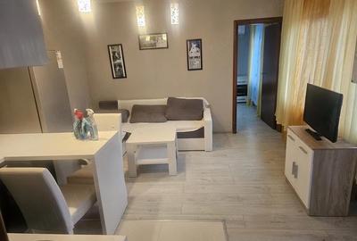 Apartament cu 2 camere semidecomandat în Mehala - 1
