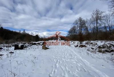 Teren de 3000 mp, în Porumbacu de Sus