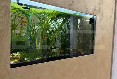 Apartament 2 camere, etaj intermediar, 56 mp, decomandat in Triaj - 11