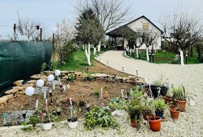 Casă și teren intravilan pentru investiții - 3