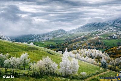 Spațiu comercial, de 381 mp, în Peștera - 3