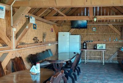 Casa de vacanta superba in Delta Dunarii - 5