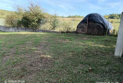 Teren de 1250 mp, în Cărbunari - 3