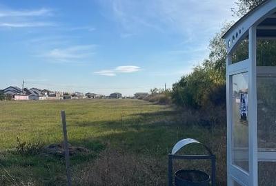 Teren Construcții extravilan de 10000 mp, în Săcălaz - 2