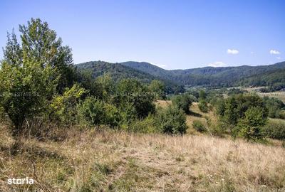 Spațiu comercial, în Vulcan - 11