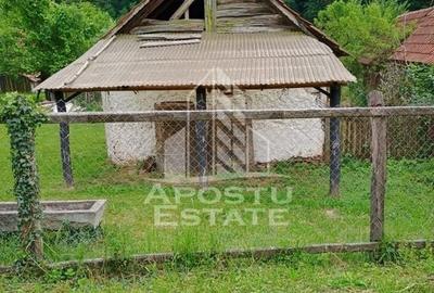 Casa bătrânească de vânzare | 4 camere | Hunedoara | Micănești - 29