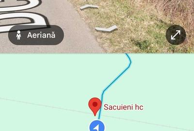 Teren de 25800 mp, în Săcueni - 3