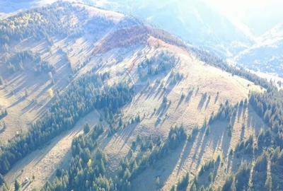 Teren 47,732mp Panaci / Strada MIhailet - 7