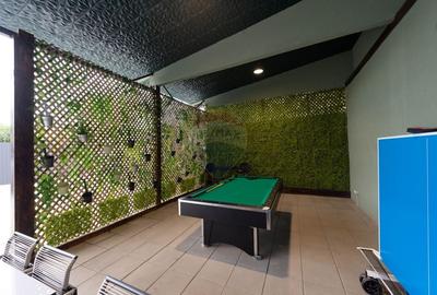 Vila cu curte de inchiriat- sector 1 - 33