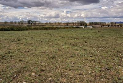 Teren intravilan de 1 Ha, cu iesire la lac, pretabil parc fotovoltaic sau turism - 9