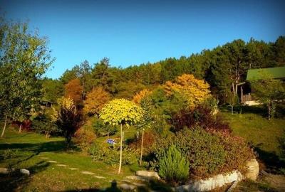 Casă individuală cu 5 camere în Florești