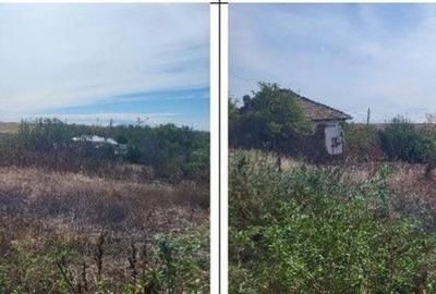 Casă cu 2 camere cu Teren 1691 Mp în Guruieni - 1