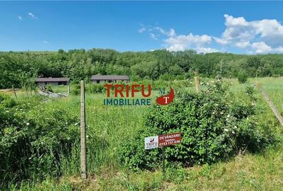 Teren de 772 mp, în Ciugud - 9