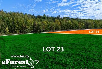 Teren de 1800 mp, în Cocani - 2