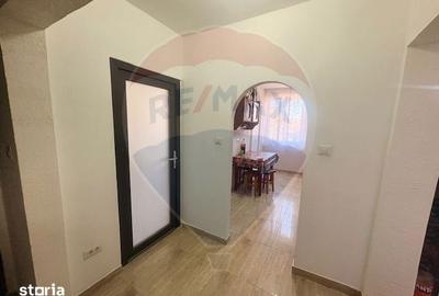 Apartament cu 2 camere, mobilat în Ocna Șugatag - 10