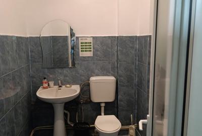 Spa?iu de inchiriat - 10