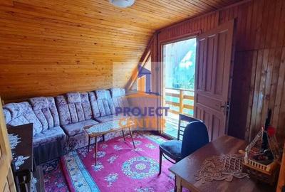 Casa de vacanta si teren 3695 mp in Hintesti - 7