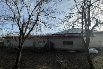 Casa cu teren in Dragos Voda, judetul Calarasi - 7