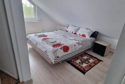 Spațiu comercial, de 270 mp, în Viștea - 1