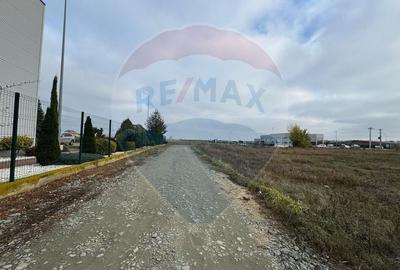 Terenuri 1000 mp- pt.hale, depozite, spatii de productie sau logistica - 2